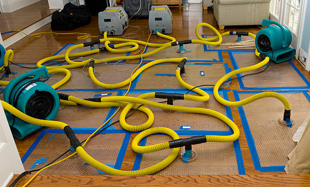 Professional Water Damage Repair technician working in Goldsboro, NC