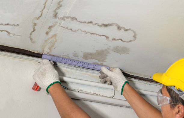 Affordable Water Damage Repair solutions in Goldsboro, NC
